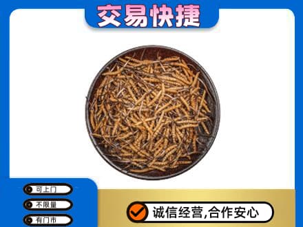 田东县回收散虫草